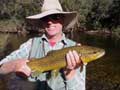 Thredbo River trout
