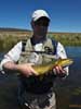 beautiful brown trout