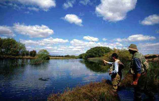 Fly fishing tuition and instruction